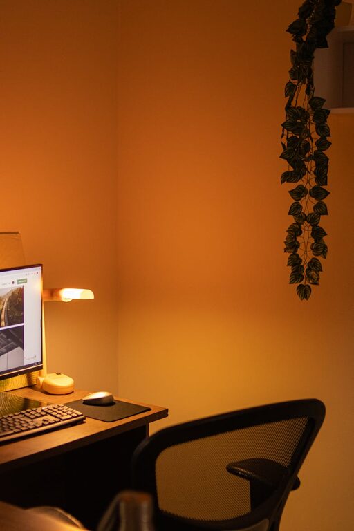 Tips for Creating a Comfortable and Productive Home Office Space